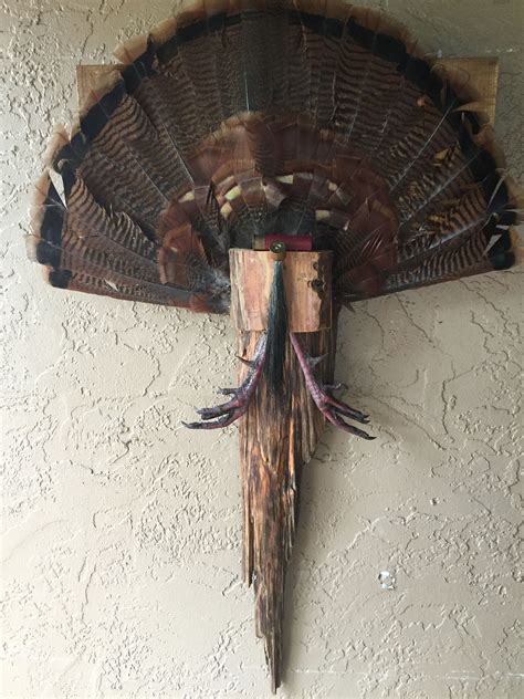 double turkey fan mount|homemade turkey fan mount.